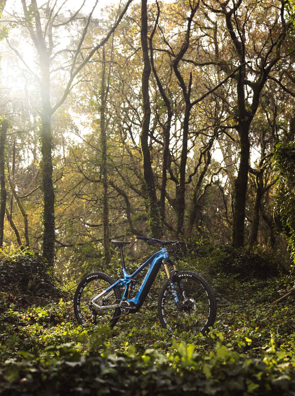 allmtn_haibike_blue_jungle_trail_emtb_ebike